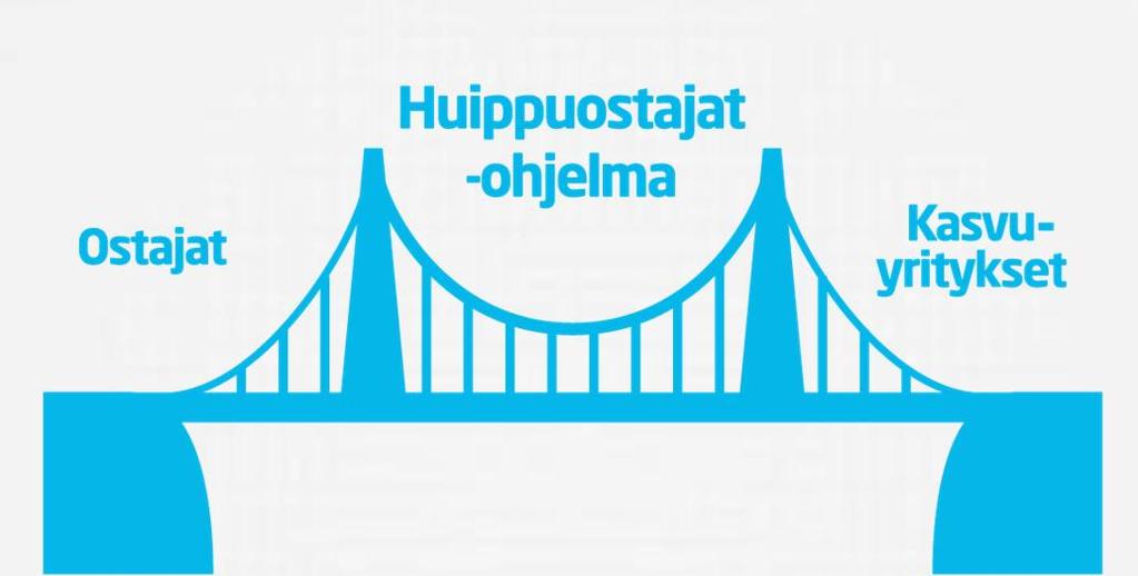 Huippuostajat Fiksu kysyntä luo markkinoita yritysten uusille ratkaisuille 2013-2016, Tekesin rahoitus 30 miljoonaa Tarjoaa Tavoite Yritysten kehitysrahoitusta sekä tilaajien Innovaatiot julkisissa