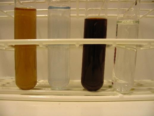 Yksinkertaista sokeria (tässä glukoosia) sisältäneen näytteen väri muuttui reaktiossa oranssinruskeaksi. Vertailunäytteen vaaleansininen väri johtuu käytetystä kuparisulfaattiliuoksesta.