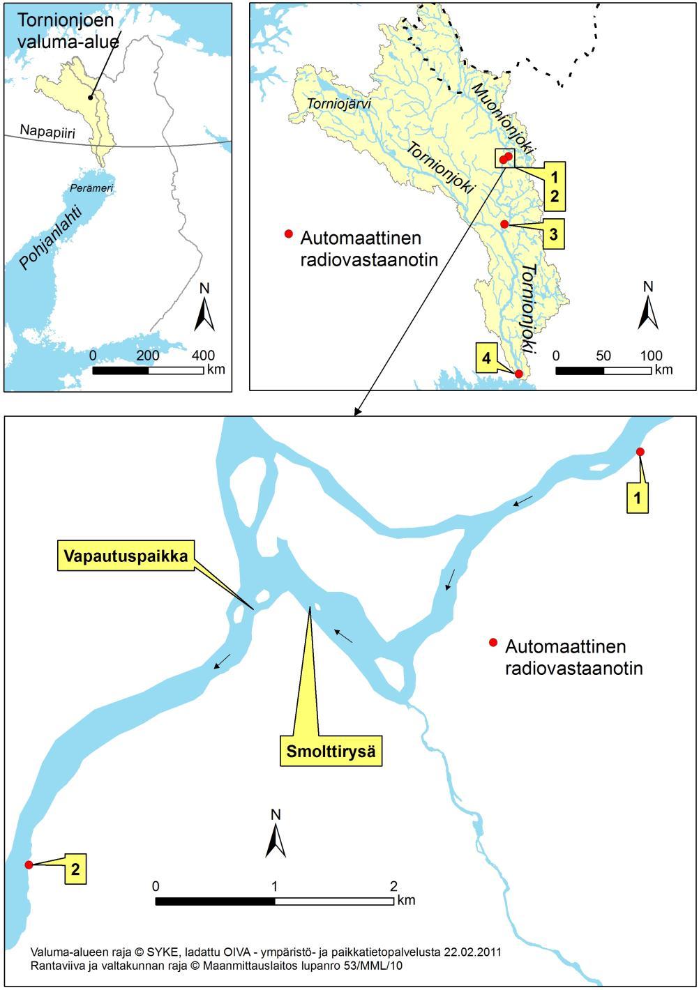 Kuva 9. Tornionjokeen istutettujen radiolähettimellä merkittyjen merilohen vaelluspoikasten tutkimusalue. 3.2.