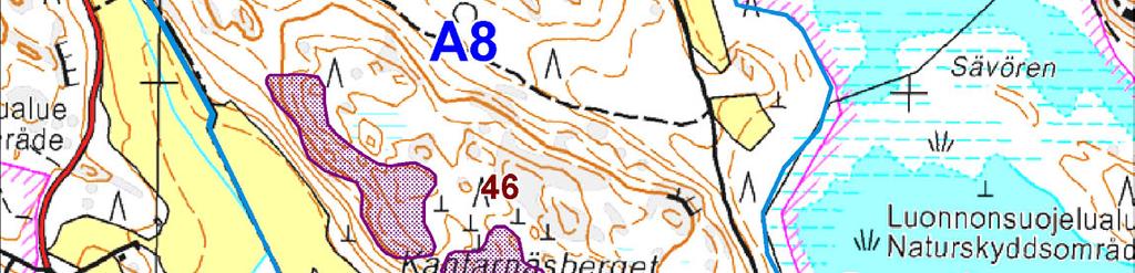 Erityiskohteet Bruksvikenin ranta-alueet ovat metsäisiä. Selvitysalueen rajan kohdalla on valoisaa, kosteapohjaista koivikkoa ja paikoin kapealti tervalepikkoa.