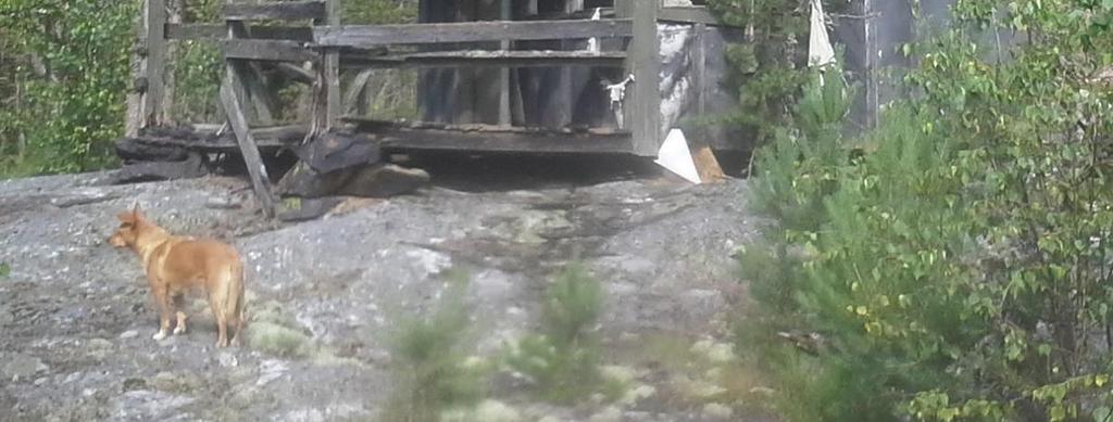 5 Yhdyskuntatekninen huolto Alueella ei ole erillistä yhdyskuntateknistä huoltojärjestelmää.