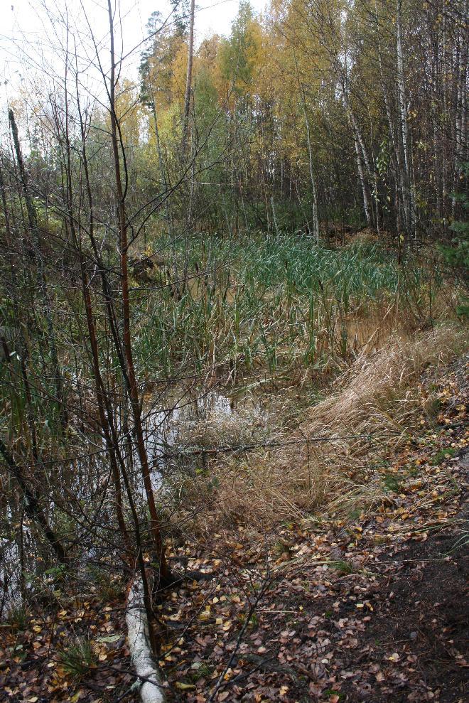 RAPORTTI VANTAAN KAUPUNKI Vantaan