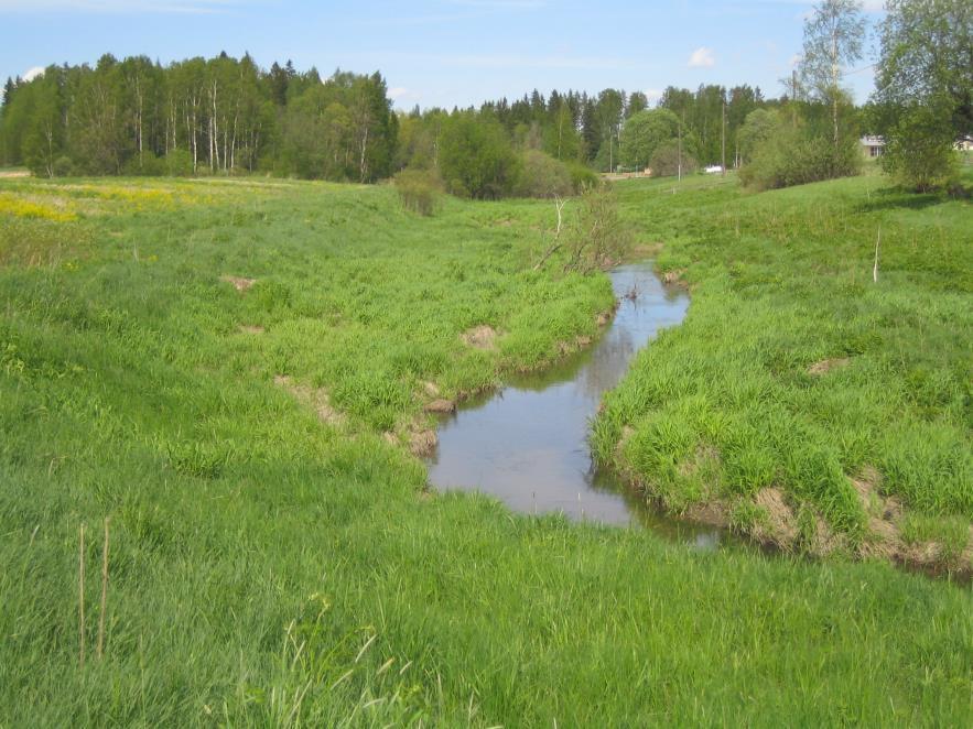 Jormola SYKE Luonnonmukaisen