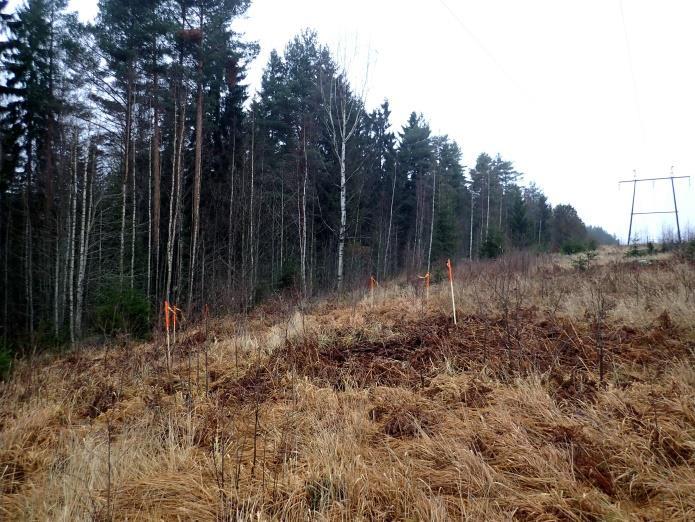 Raivausröykkiöt on merkitty punaisin pistein, hiilihauta