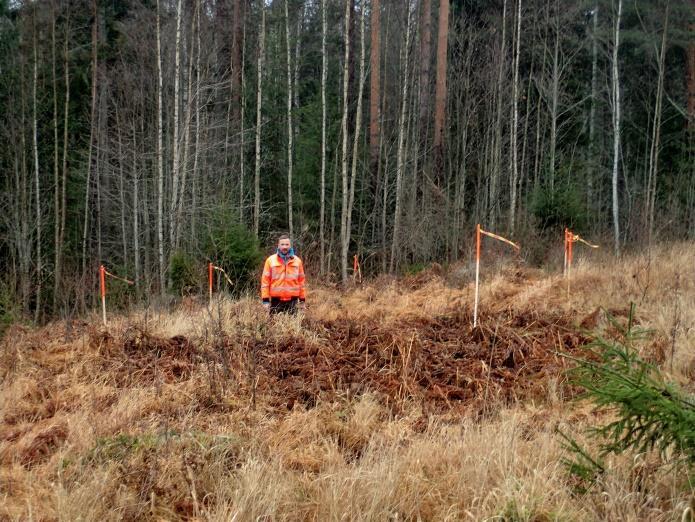 Vasemmalla kolme lähekkäistä naurishautaa merkitty ja rajattu