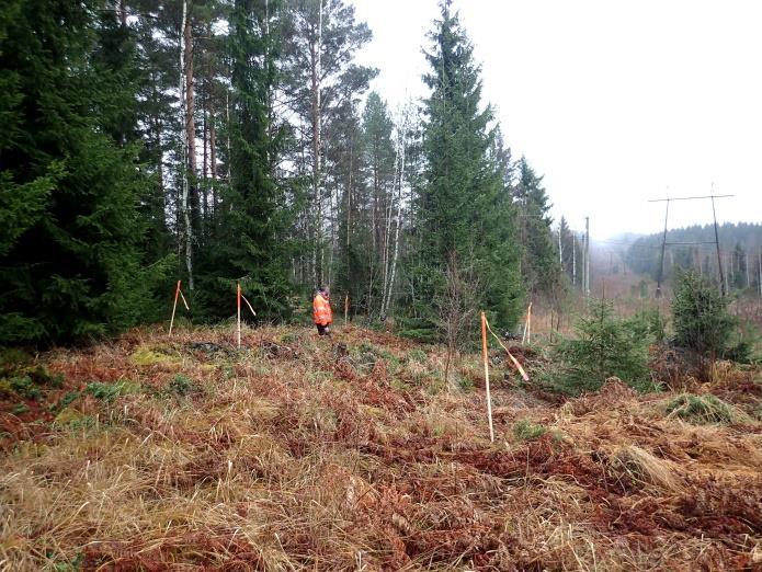 3 HÄMEENLINNA VELLIKORPI Mjtunnus: 1000027636 Laji: kiinteä muinaisjäännös Tyyppi: muinaisjäännösryhmä: hiilihauta ja raivausröykkiöitä Ajoitus: historiallinen Koordin: N: 6769 008 E: 363 959