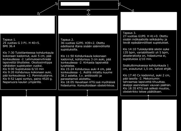 Osio 13.