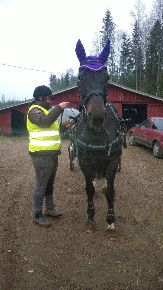 Tiekustannusten osittelu Tienpitovelvollisuus on jaettava tieosakkaiden kesken sen hyödyn mukaan, minkä tien kullekin katsotaan tuottavan.