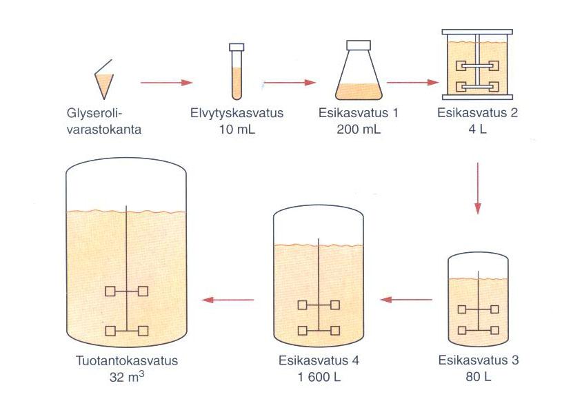 Fermentoinnin toteutus (mode of fermentation) Panosfermentointi: jokaista panosta varten tuotetaan oma siirroste (engl.