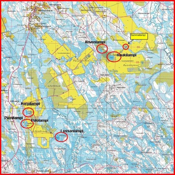 2 9M609216 2 1 JOHDANTO Työn tarkoituksena oli selvittää turvetuotantoalueiden läheisyyteen sijoittuvien lampien viitasammakkotilannetta.