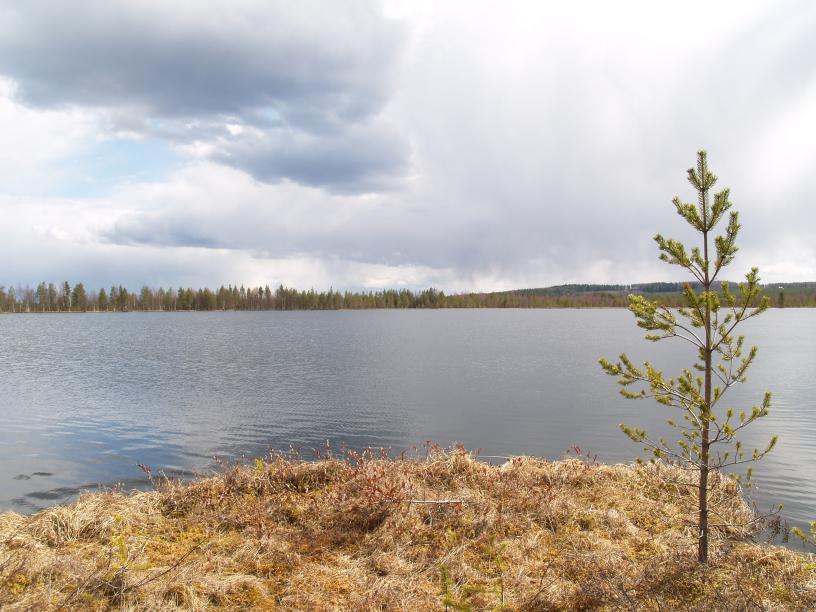 5 3.3 Haukilampi Haukilampi on jyrkkäreunainen suolampi, jossa on kirkas vesi.