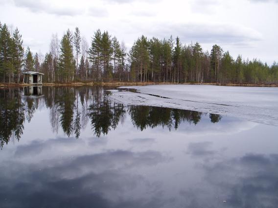 Lammella ei ollut myöskään vesilinnustoa. 5 Kuva 5. Haukilampi 3.