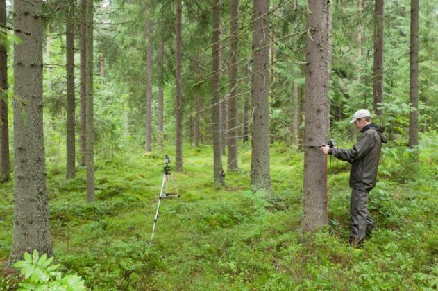 lähtien - Tietosisältönä nykyisin: metsävarat puuston määrä, kasvu ja laatu maankäyttö ja metsien omistussuhteet