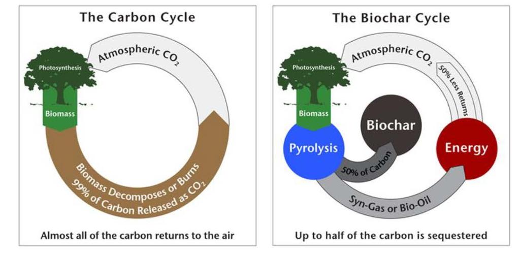 Biohiili on (pysyvä) hiilinielu Biochar-US.