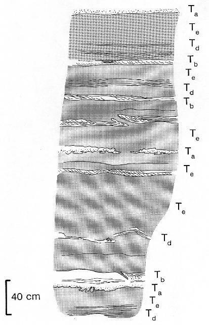 Typical outcrops of turbidites with partial Bouma sequences Vihanti o 64 30 '