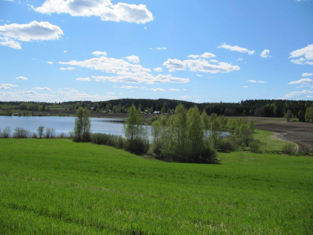 ALAJÄRVEN YHTENÄINEN SUOJAVYÖHYKE Saarijärvellä Kalmarissa