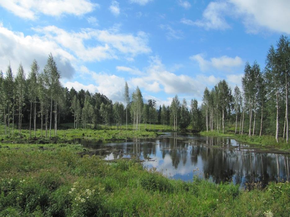 perustettiin mallikosteikko talvella 2012 - Kosteikkoa