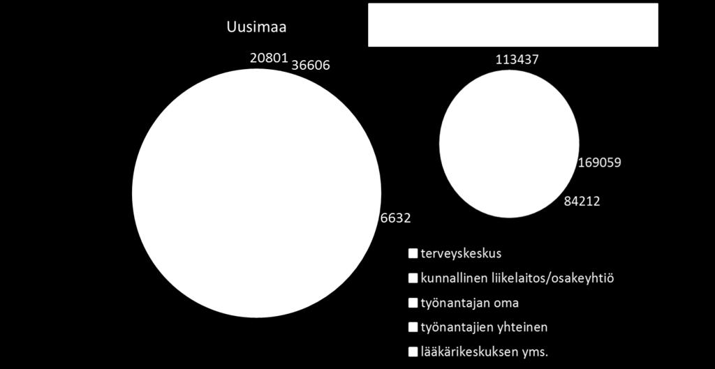 Tuottajaryhmittäin tarkasteltuna 72 % sairaanhoidon piirissä olevista henkilöasiakkaista on lääkärikeskusten asiakkaita, kunnallisten liikelaitosten/osakeyhtiöiden ja terveyskeskusten asiakkaita