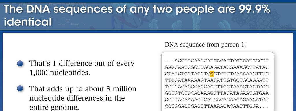 rekombinaatio s u k u s o l u t Figure 5-64 Molecular Biology of the Cell (