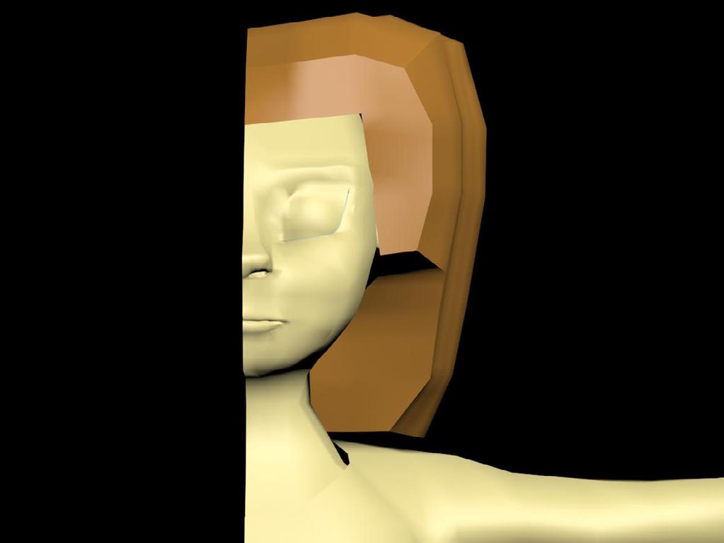 mallin lowpoly- tai highpoly-statuksen esimerkiksi 5 000 polygonista koostuva taustalla esiintyvä vaatekaappi olisi highpoly-malli, mutta saman verran geometriaa sisältävä videopelin päähahmo