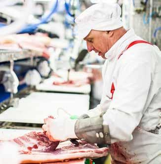 Atria Oyj Strategia Toteutuminen 2016 Atria Meat tehostaa suomalaisen lihan Ruotsin-kauppaa Uuden, alkuvuodesta 2016 toimintansa aloittaneen Atria Meat -organisaation tavoitteena on suomalaisen lihan