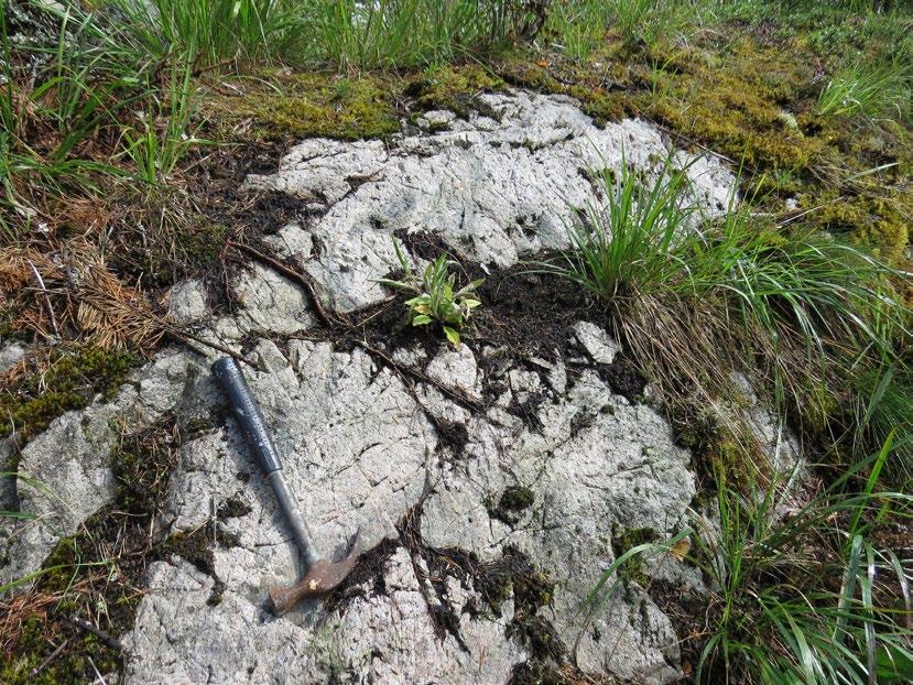 Kanta-Hämeen potentiaalisten kaivosten aluetaloudelliset vaikutukset Sauhula sijaitsee geologisesti vulkaniittivyöhykkeen ja Kotkan granitoidin kontaktivyöhykkeessä (Kuva 2).