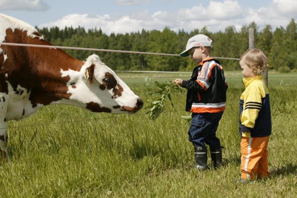 Ruoka ja luonnonvaratehtävät Tehtävät laajasti maakuntiin, lähes 2000 htv Maaseutu ja maataloustehtävissä varmistettava EUtulot, 864