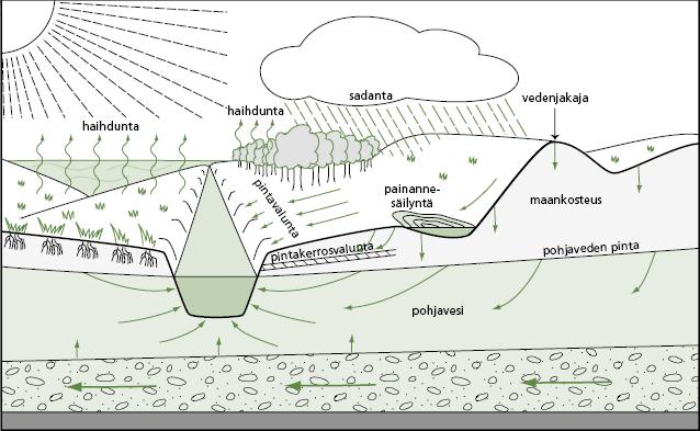 Hydrologisen kierron pääkomponentit valuma-alueella Sadanta Interseptio Lumen kertyminen ja sulanta Haihdunta Evaporaatio, transpiraatio, evapotranspiraatio Infiltraatio ja varastoituminen maa- ja