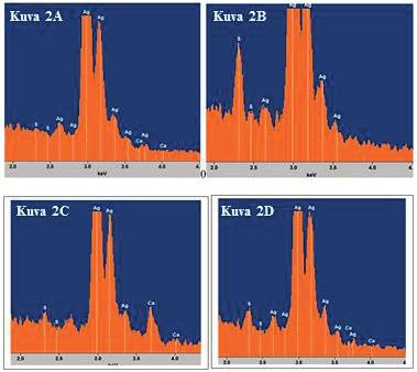 Sisäilmastoseminaari 2017 235 Rikkivetyanturin vaste EDS:llä tutkittuna Anturipinnan responssia rikkivedylle tutkittiin pyyhkäisyelektronimikroskoopilla EDSspektrien avulla sekä kammiokokein että