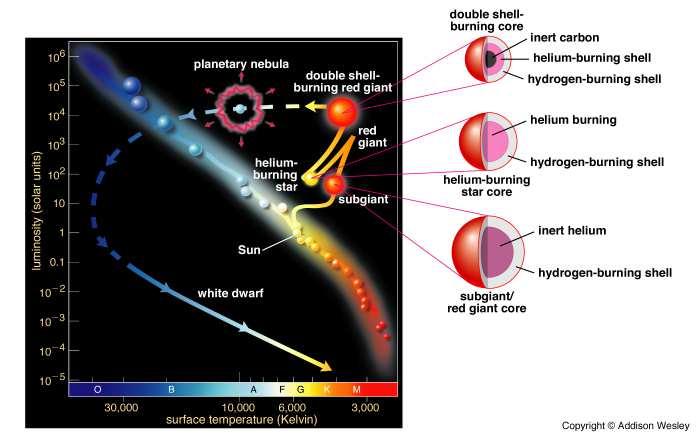 Kuva 8.4: Auringonmassaisen tähden kehityskäyrä pääsarjavaiheen jälkeen HRdiagrammassa. Lähde: Allison Wesley. lämpötilagradientit eivät voi olla suuria, ja ydin on hyvin lähellä isotermistä.