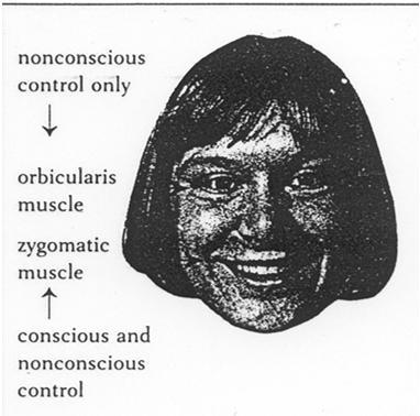 HYMY Tahdonalaisesti aikaansaatu hymy: Alempien kasvolihasten (m.zygomaticus) supistus. Bilateraalinen hermotus M2 (med. PM) M3 (ACC) Kontralateraalinen hermotus a.