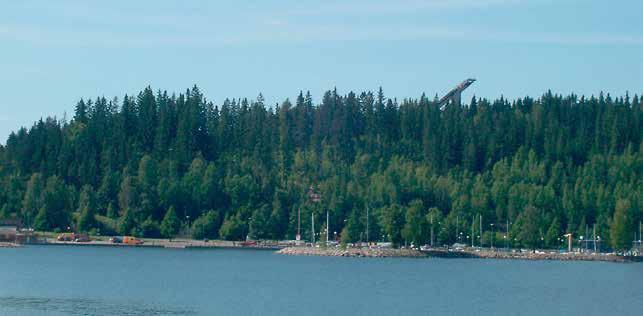 16 Yksittäisten maisemapuiden ympäriltä raivataan vesakkoa. Erikoinen puuyksilö on lähimaiseman kiinnekohta. Ulkoilureittien varteen voidaan avata reitiltä metsän sisään ulottuvia näkymäkaistaleita.