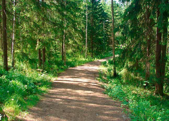 1. Johdanto Metsät ovat keskeinen osa Lahden kaupunkikuvaa. Metsän silhuetti piirtyy kaupunkimaiseman taakse keskustan ympärillä. Kaukomaisemassa erottuvat Salpausselkä ja muut puustoiset lakialueet.