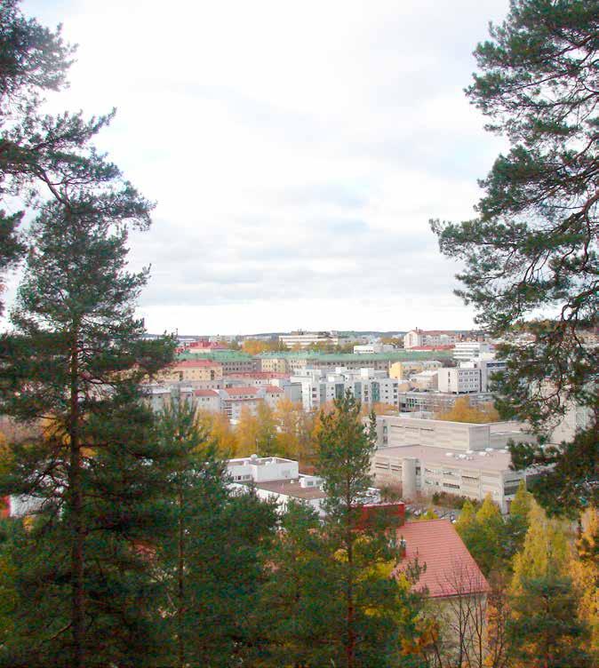 Kaavoitus vaikuttaa siihen, kuinka paljon ja mihin käyttöön suunniteltuja metsäalueita kaupungin eri osissa on. Yleiskaavan suunnitteluohjeissa metsien hoitoa ohjeistetaan yleisluontoisesti.