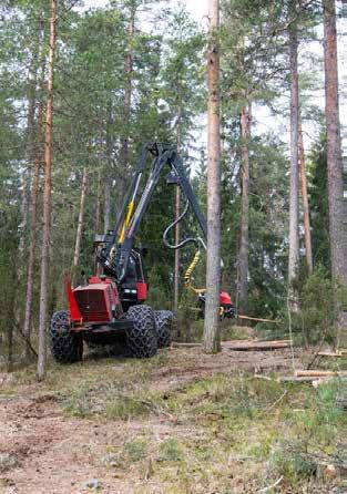 Kaupungin omistamia metsiä hoidetaan kustannustietoisesti, mutta hakkuutulojen maksimointi ei ole hoidon lähtökohtana.