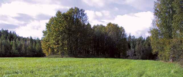 Viheralueiden hoitoluokitus Lahdessa KAUPUNGIN OMISTAMISSA METSISSÄ KÄYTÖSSÄ OLEVAT VIHERALUEIDEN HOITOLUOKAT.