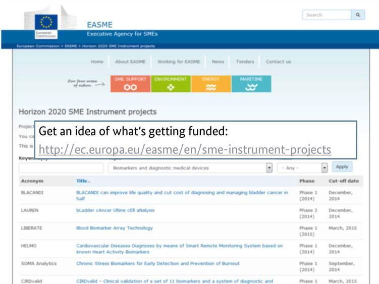 Idea SME ClickInstrumentti to edit Master title style Market Phases & Schedule Elaborated business plan Initial business proposal Phase 1 Phase 2 Feasibility study Innovation project Final business