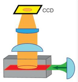 light-sheet microscopy