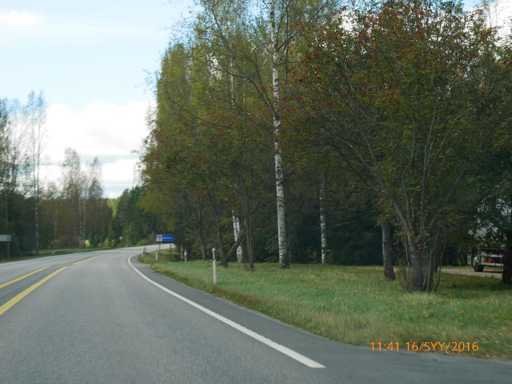 esteet turva-alueelta. Nykyisin puustoa on välittömästi luiskan alahelmassa tai tien ja levähdysalueen välissä. Kuva 28.