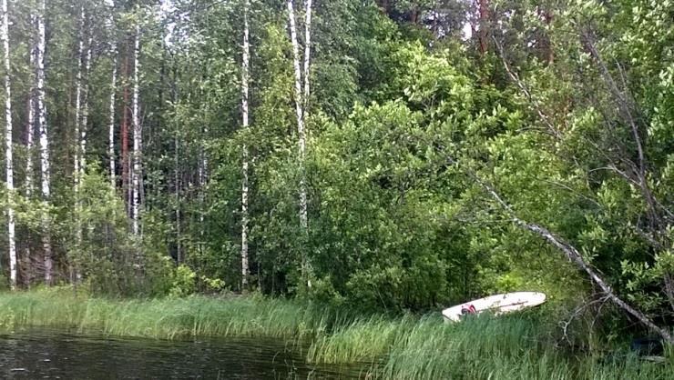 Lahden perukassa oli todettavissa muutamia kuivan kankaan kumpareita (VT), joilla puusto oli kookasta