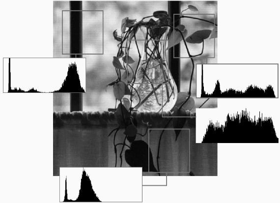 15. Aallokkeet ja moniresoluutiokäsittely 177 Fourier-muunnosta joissakin tapauksissa parempi menetelmä kuva-analyysissä ovat aallokkeet (wavelets).
