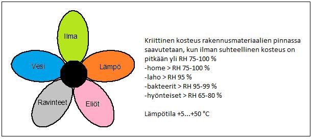 vientien ja epäjatkuvuuskohtien ympäriltä, missä vesi pääsee pikkuhiljaa pitkällä aikavälillä pitämään rakenteita kosteana.
