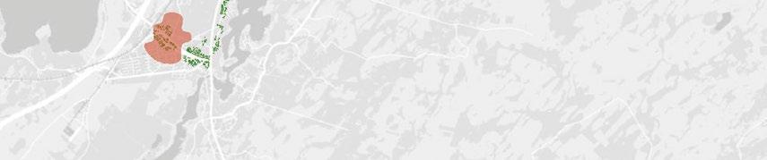 Kaupunkikudosten alueet Jalankulkukaupunki, 1 km - ydinalue Jalankulkukaupunki, 1 km - muu alue