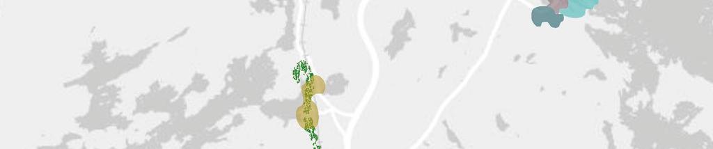 8 km 5 km 2 km 1 km Kaupunkikudosten alueet Kaupunkikudosten alueet Joukkoliikenteen tarjonta Jalankulkukaupunki, 1 km - ydinalue Intensiivinen