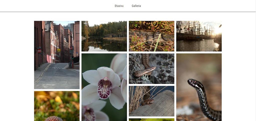 33 Työssä käytettävä galleria on rakenteeltaan yksinkertainen HTML-verkkosivu, joka sisältää kaksi erillistä sivua.