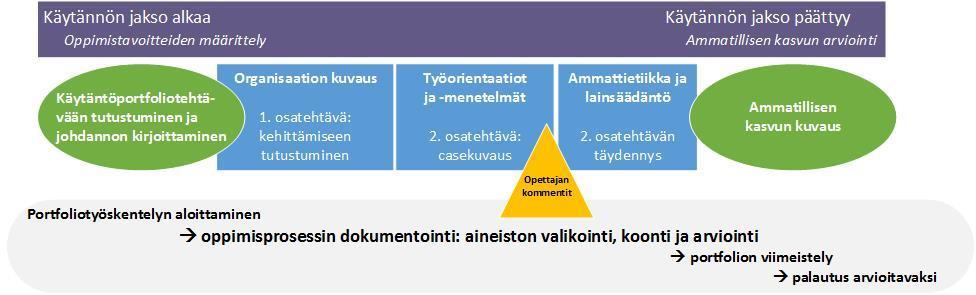 12 Käytäntöportfolion suunnitelmallinen työstäminen alkaa käytäntöjakson alussa.