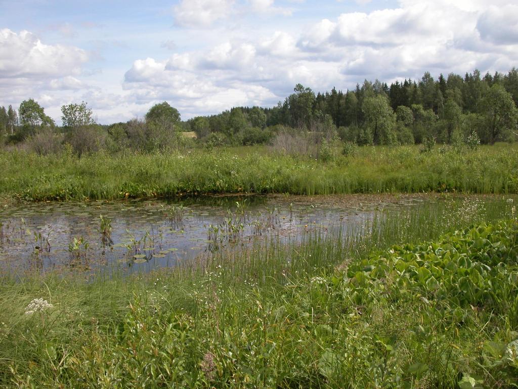 Laukaa/luontainen