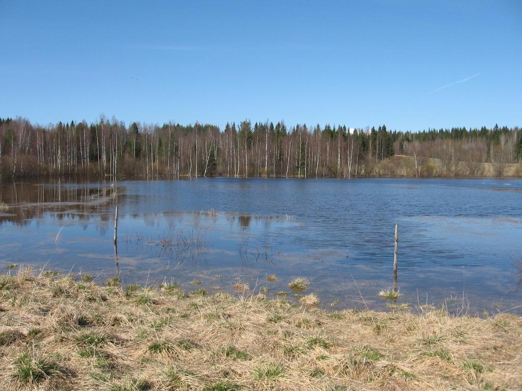 Saarijärvi tämä on