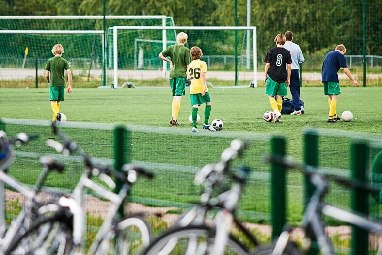 verkoston Helposti saavutettavat lähipuistot, kaupunginosapuistot,