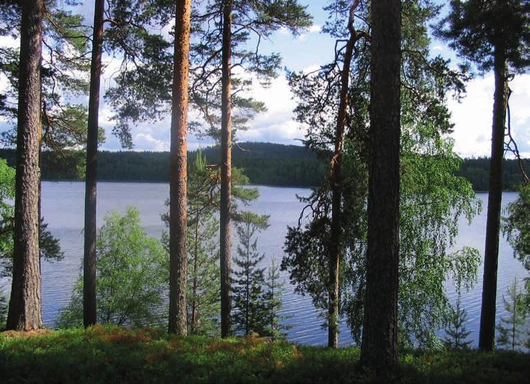 KAAVAN SISÄLTÖ JA PERUSTEET ENERGIA JA LUONNONVARAT Salussärkkä, Mänttä-Vilppula. MERKINNÄT JA MÄÄRÄYKSET Tärkeä vedenhankintaan soveltuva pohjavesialue.